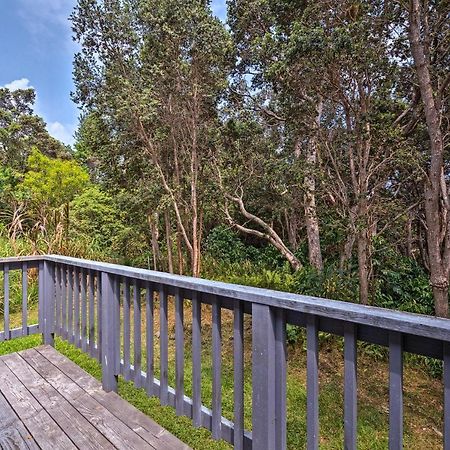 Peaceful Abode With Deck, 13 Mi To Black Sand Beach! Naalehu Kültér fotó